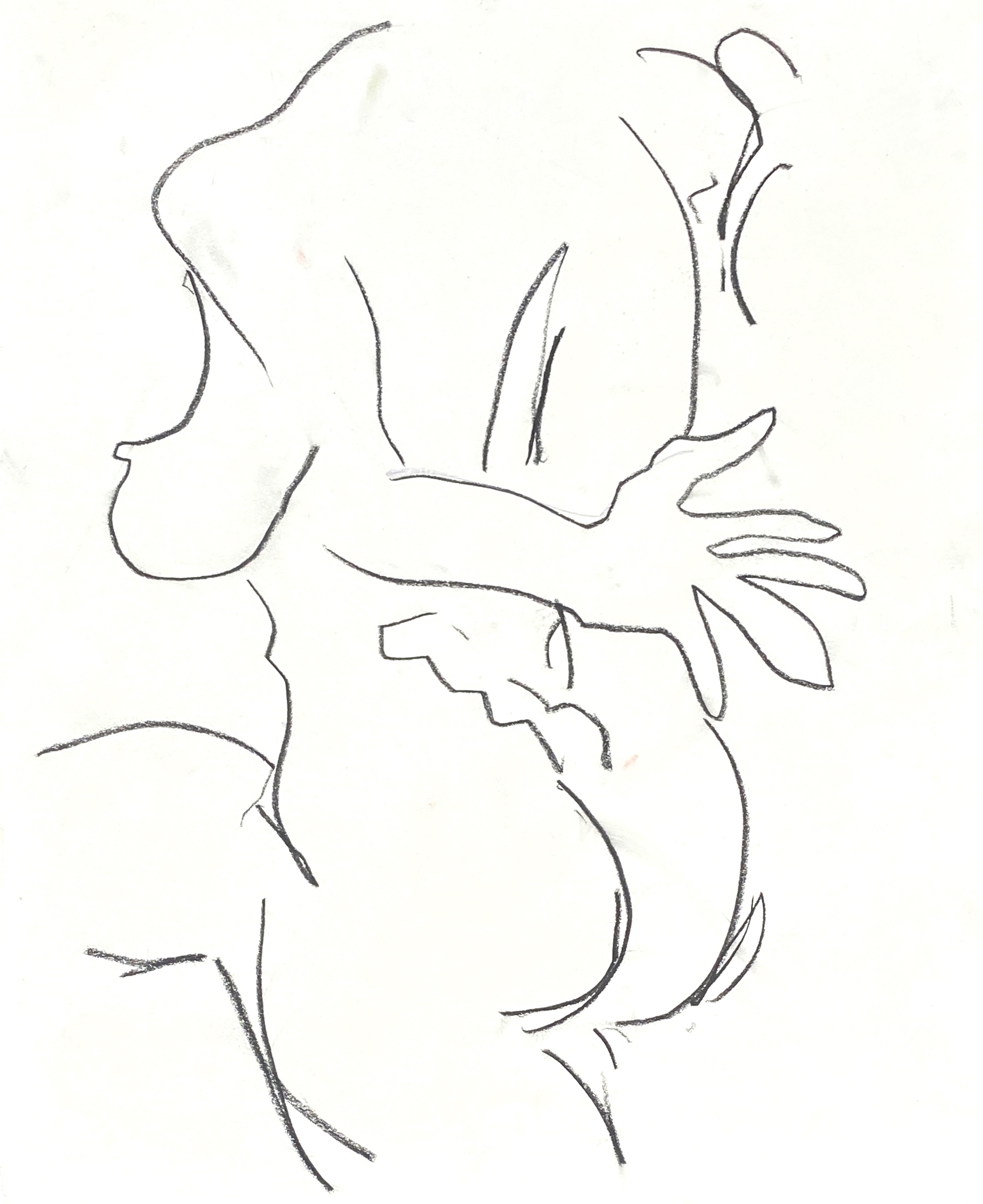 tangled figure