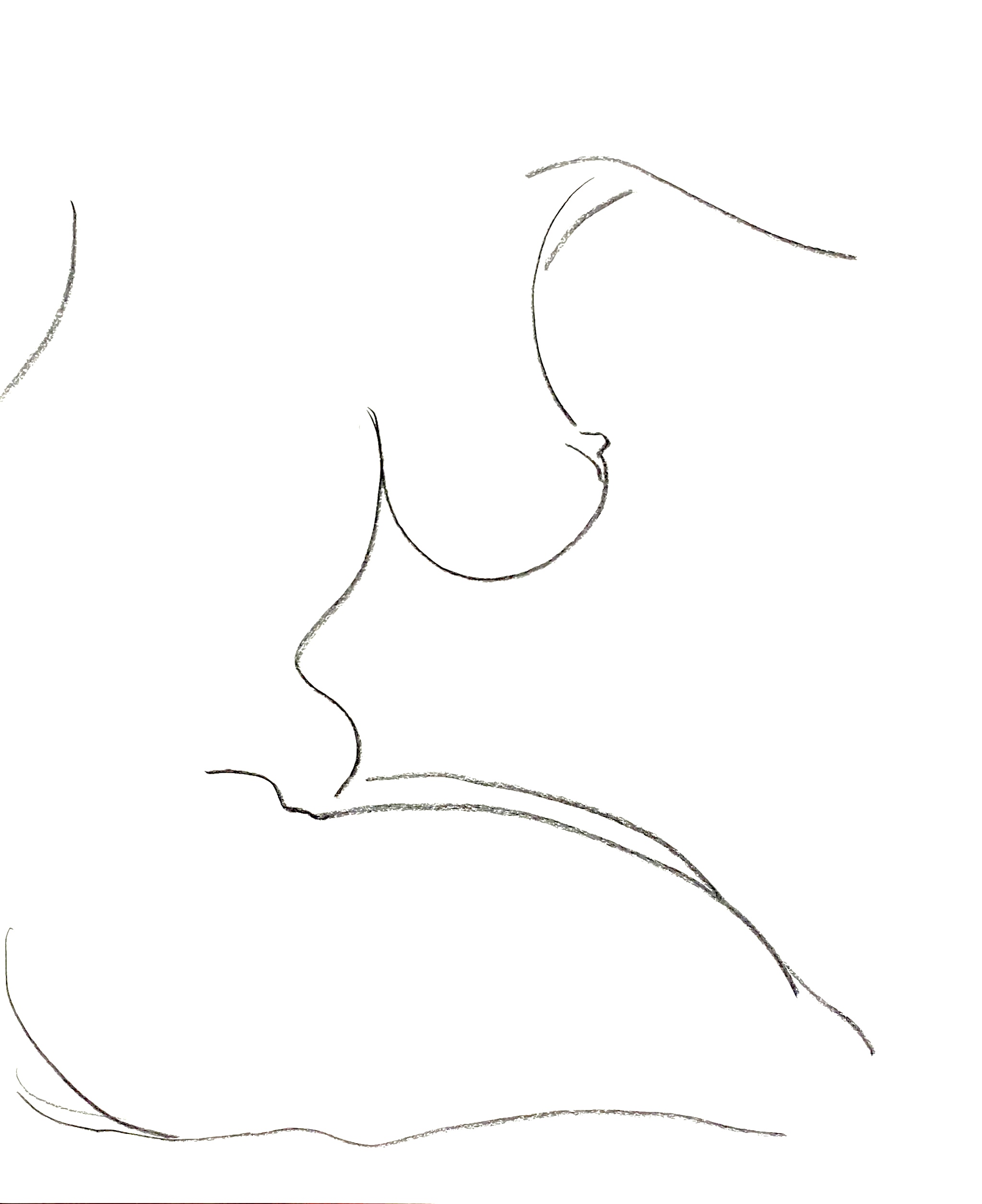 torso 3
