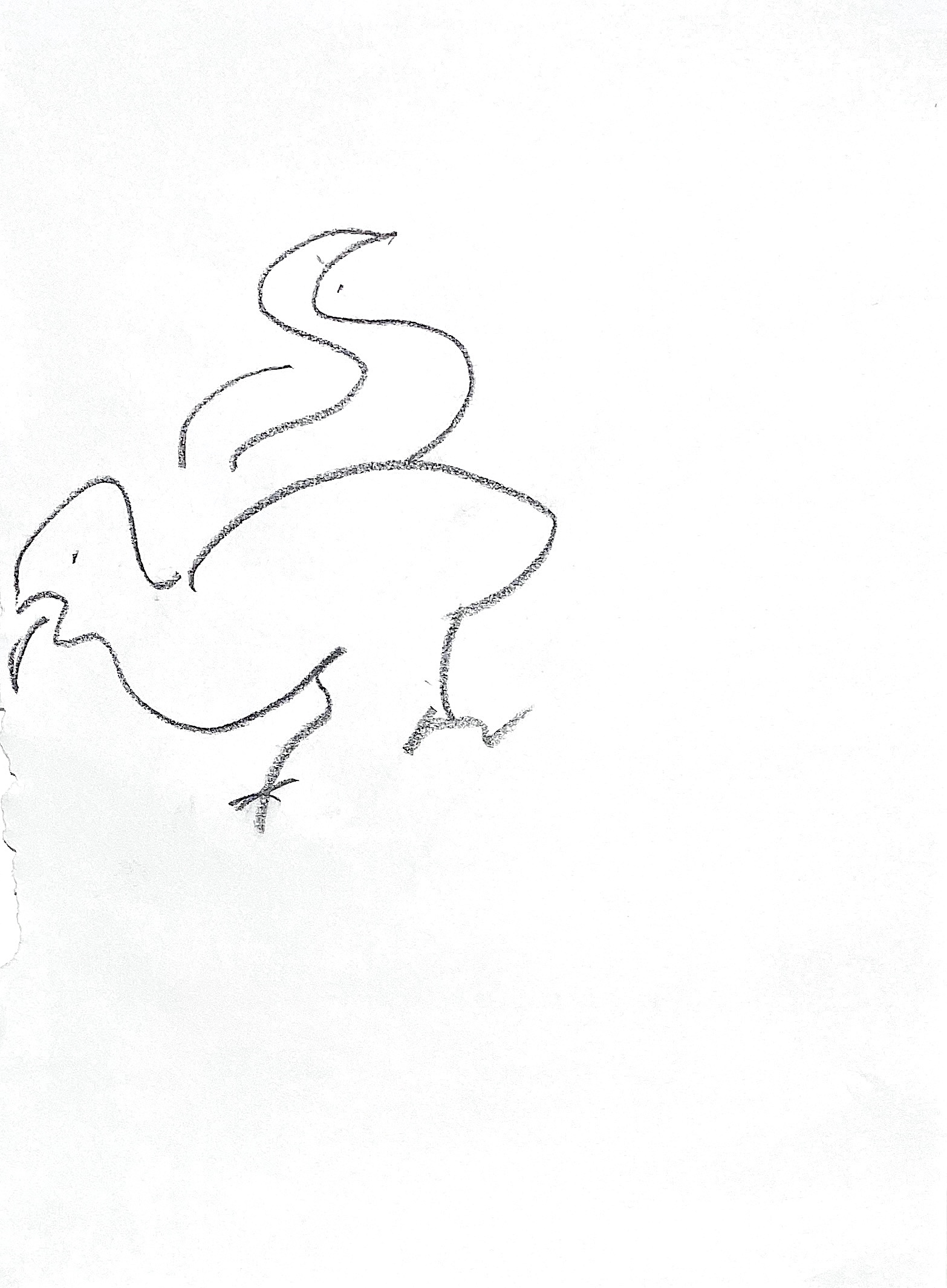bird 3