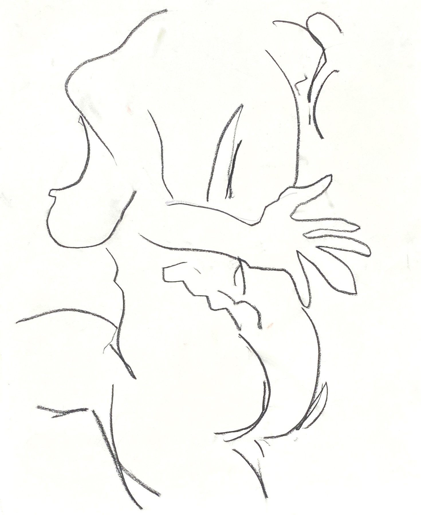 tangled figure