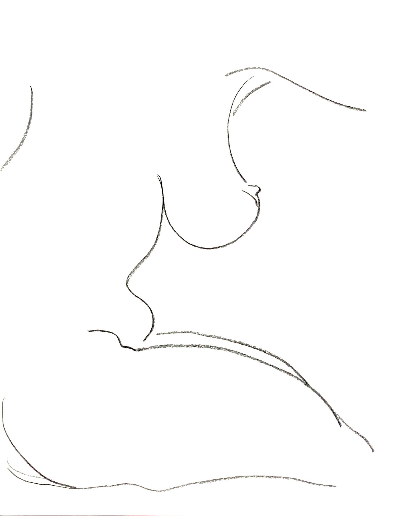 torso 3