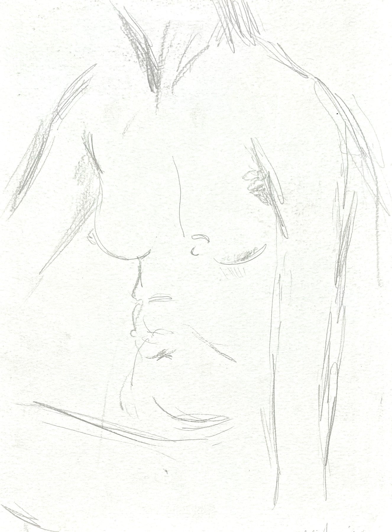 torso 1