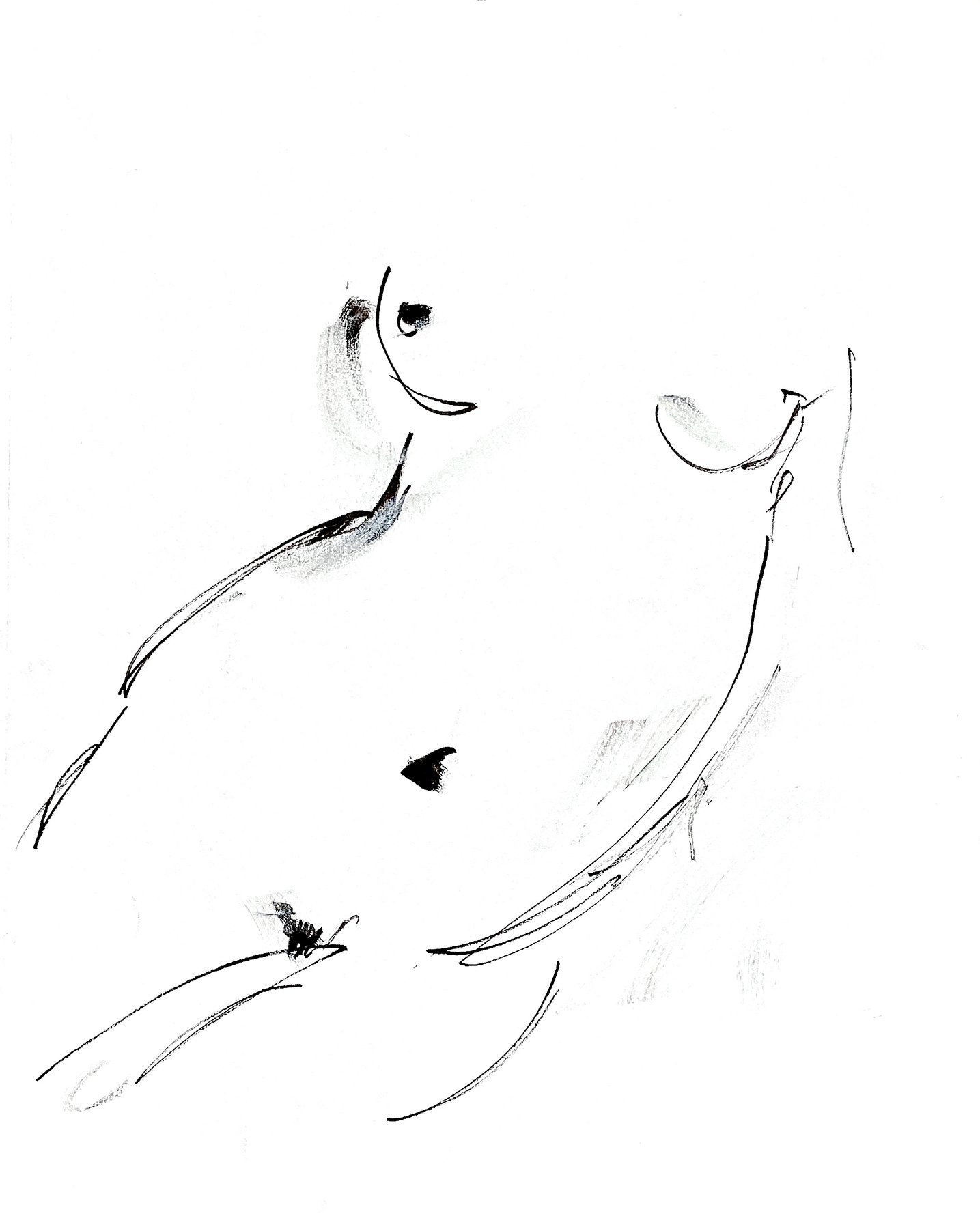 torso 4