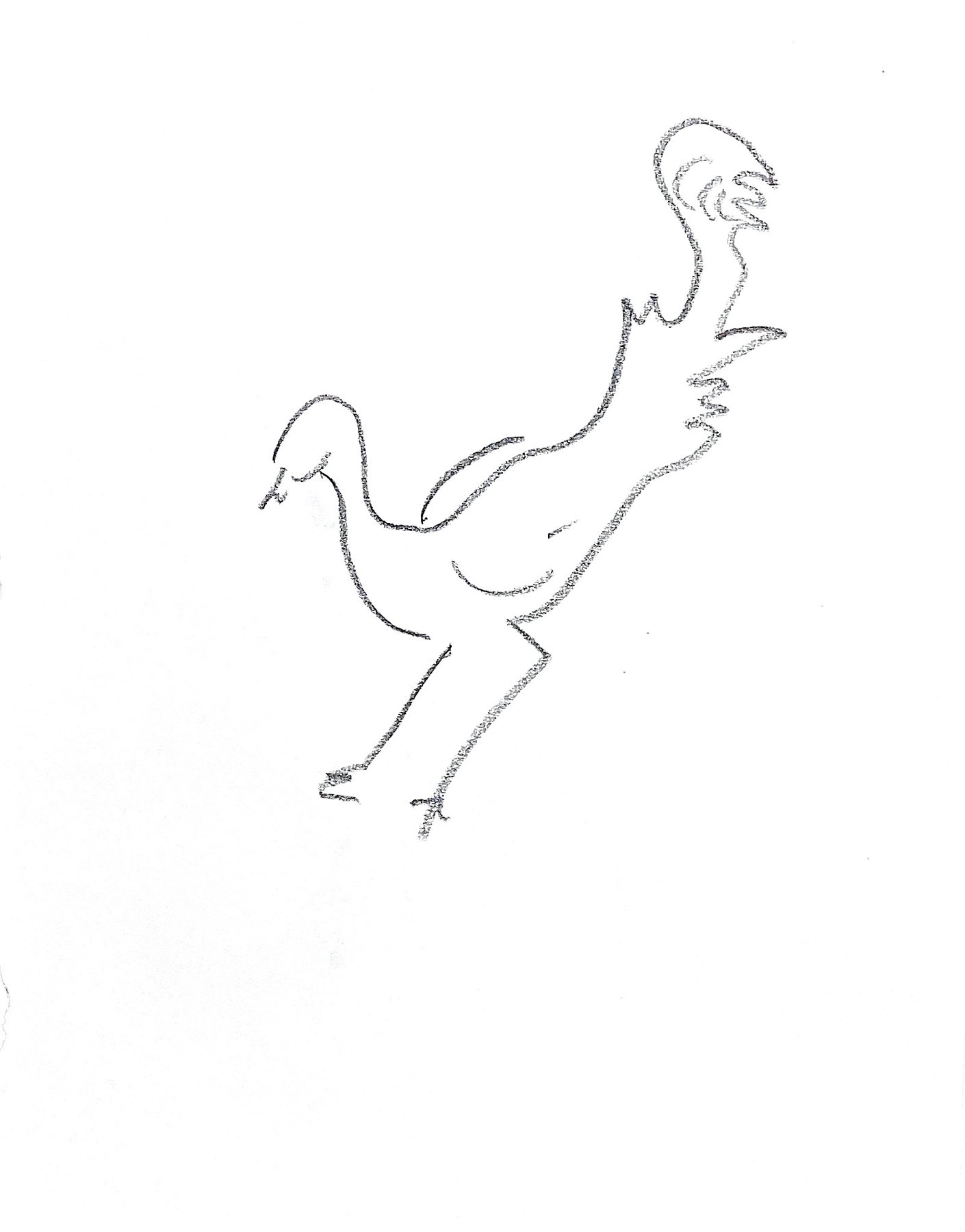 bird 1