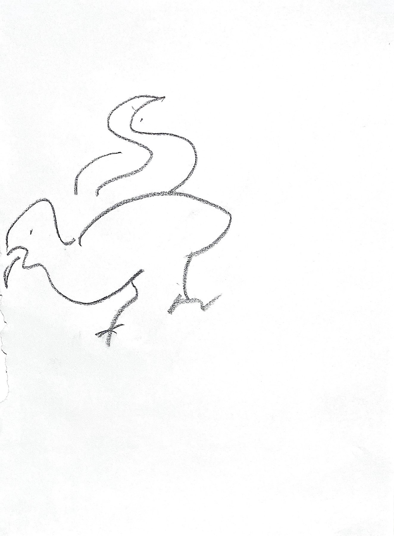 bird 3