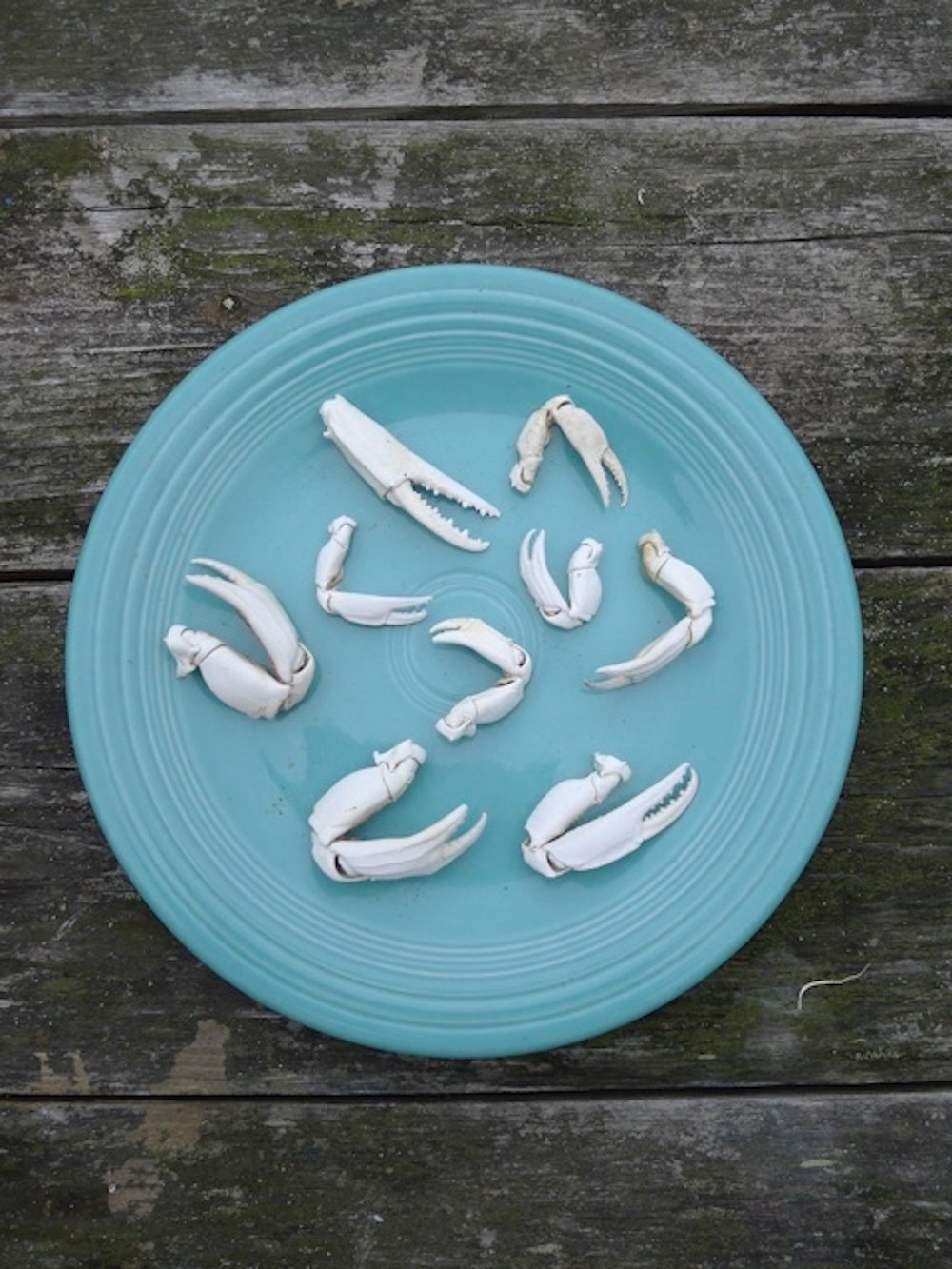blue plate
