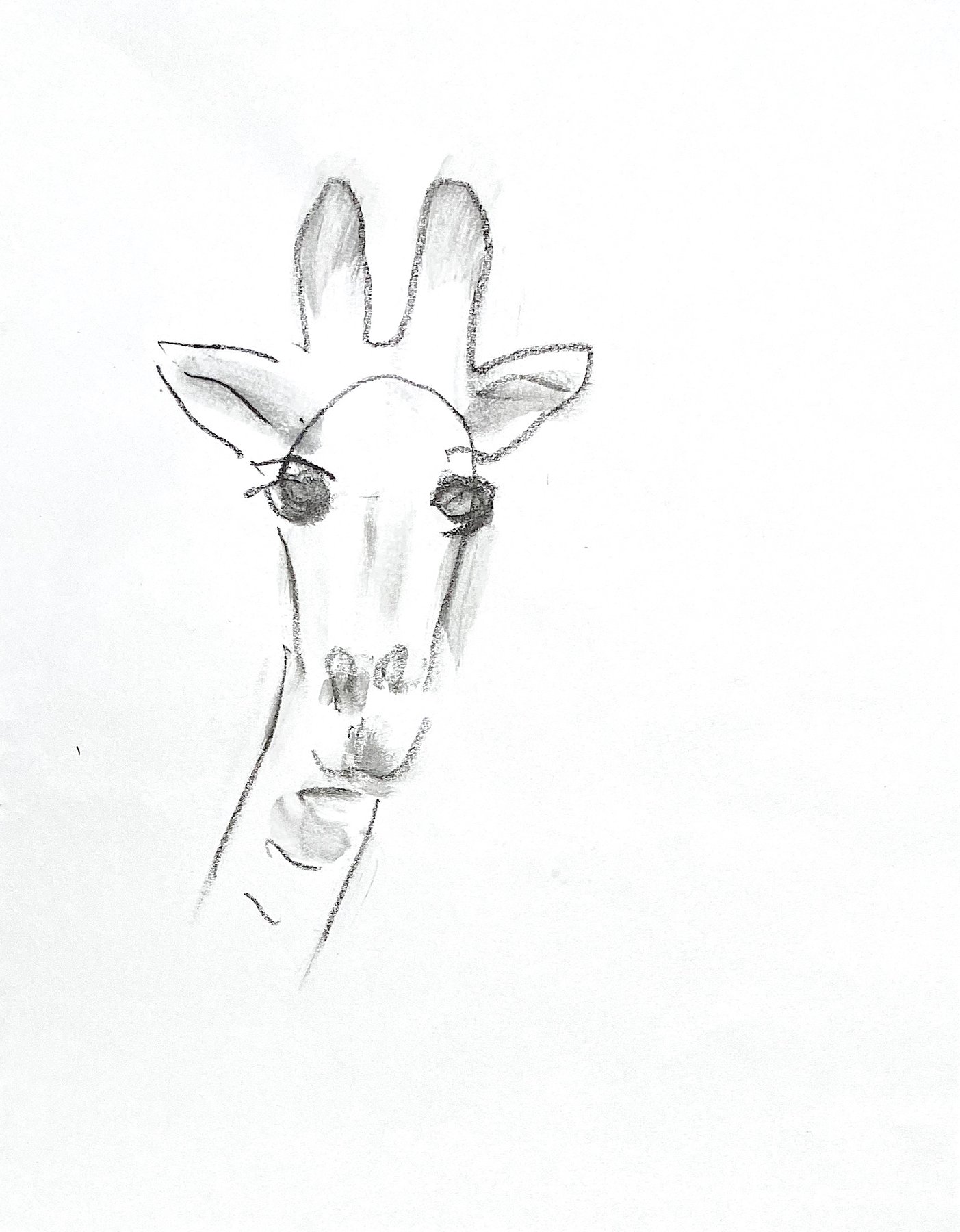 giraffe 1