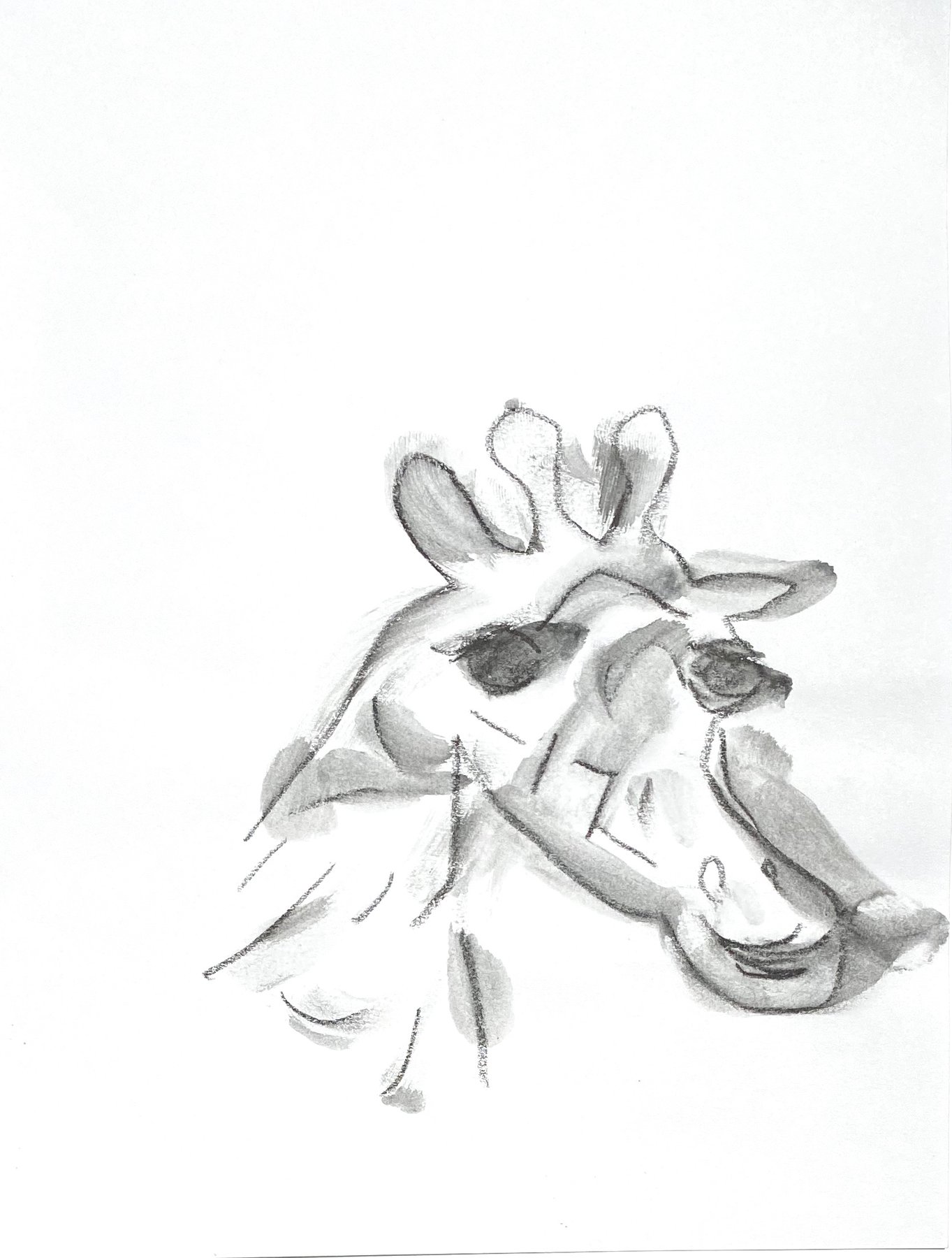 giraffe 2