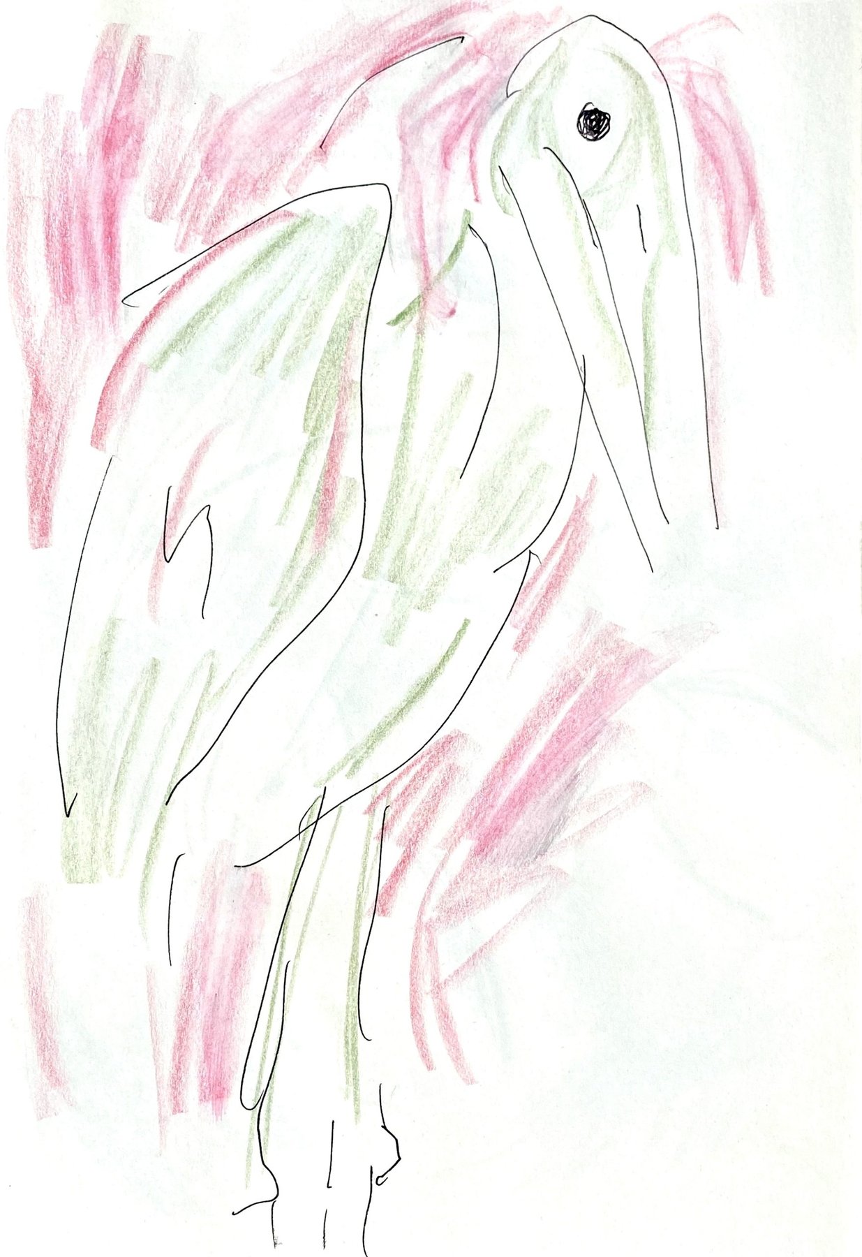green and pink bird