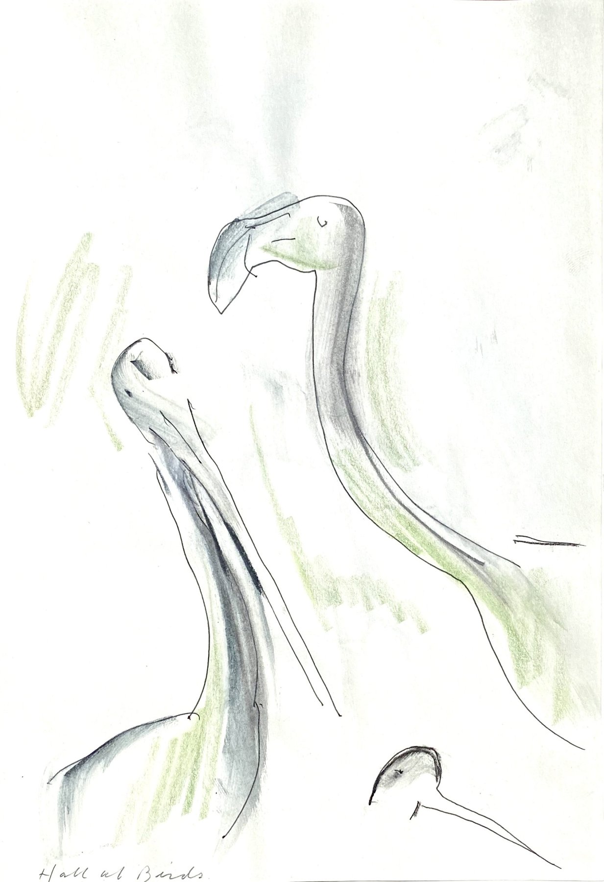 green birds