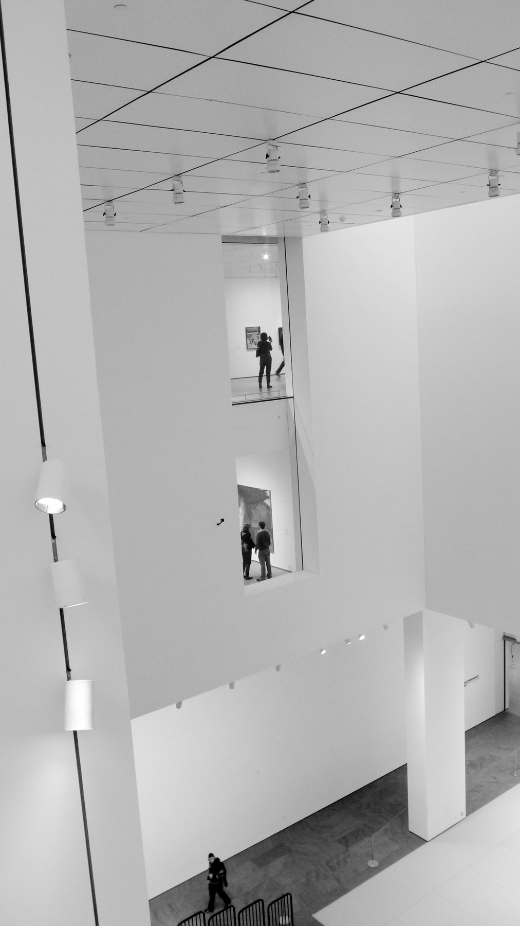 moma