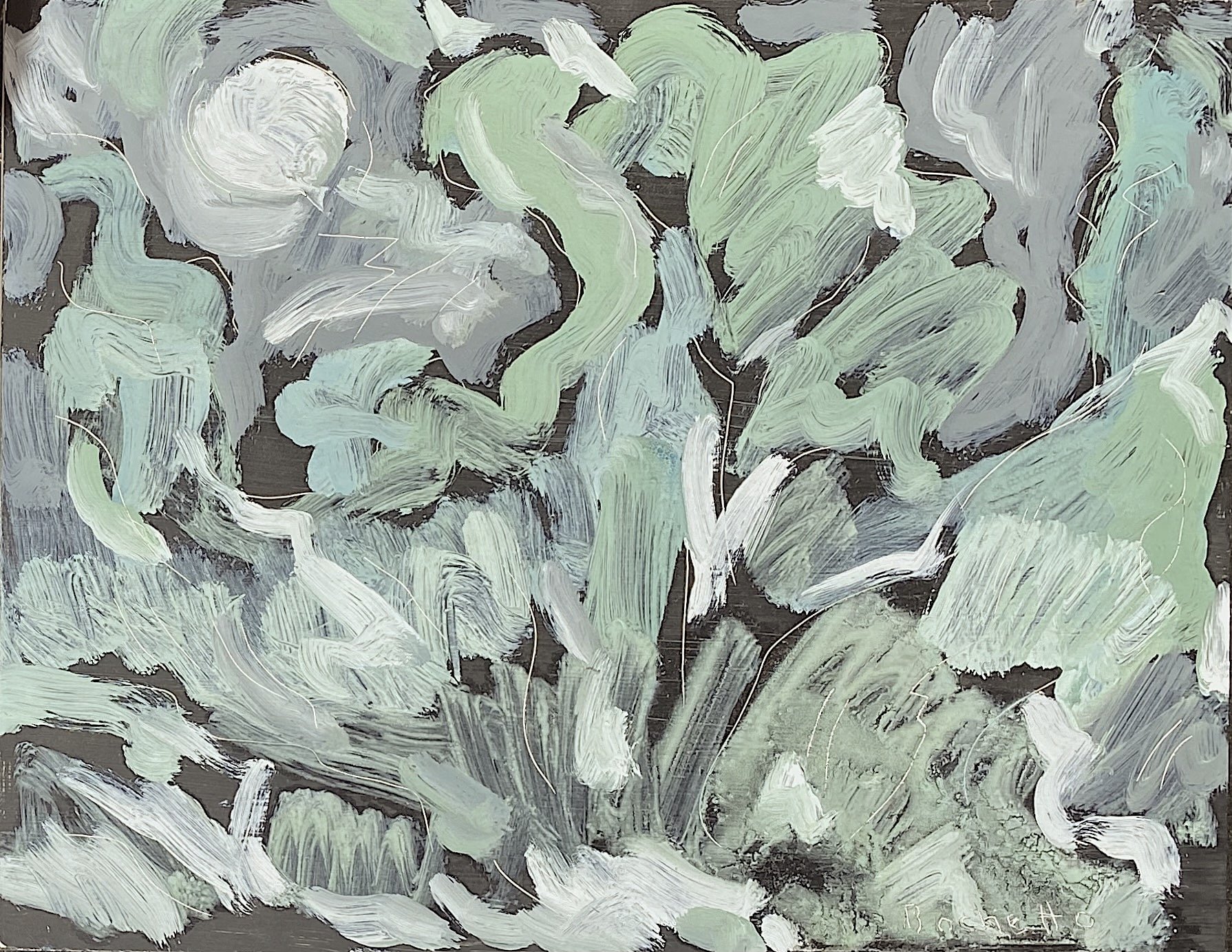 night forest