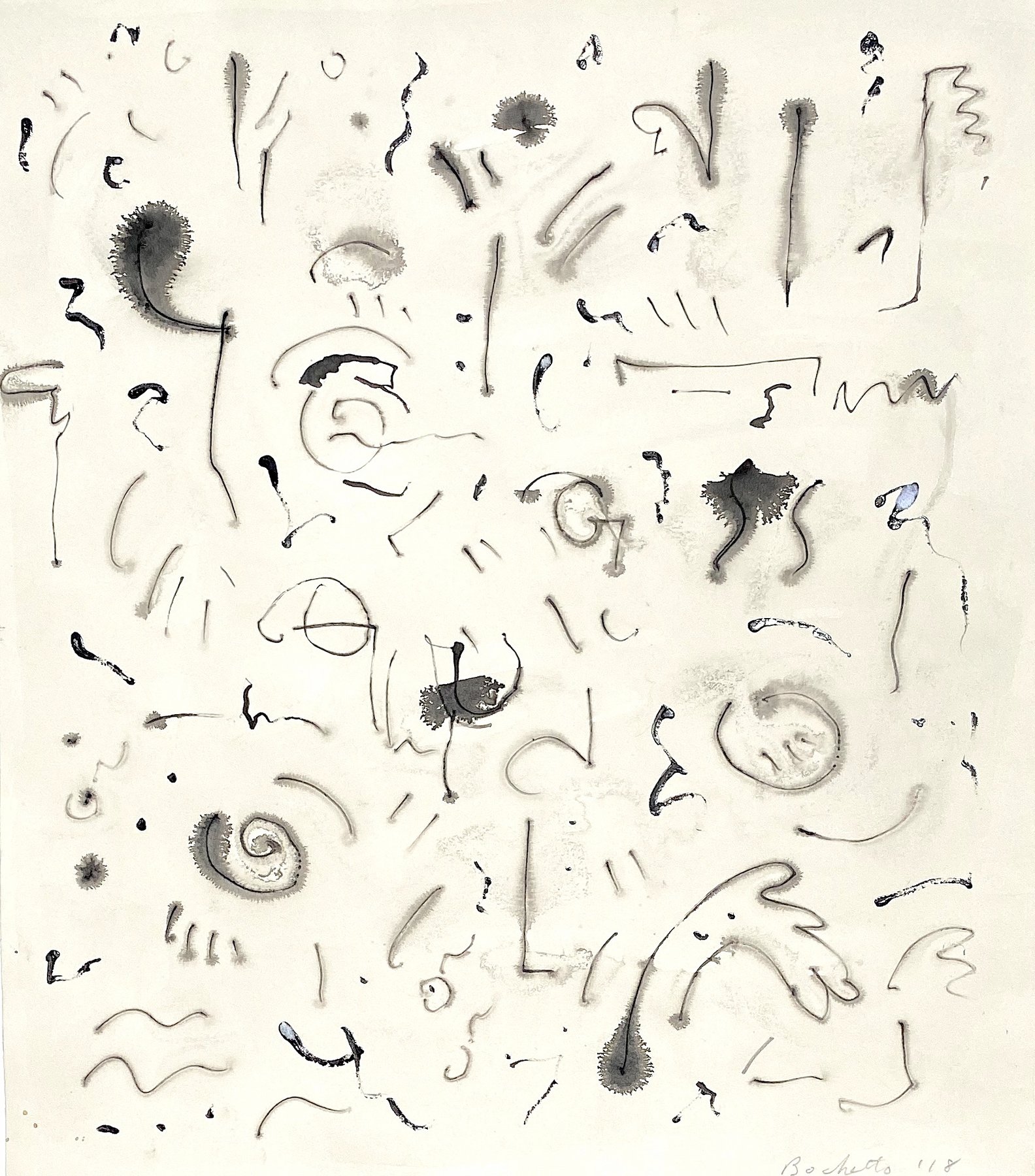 shadow garden