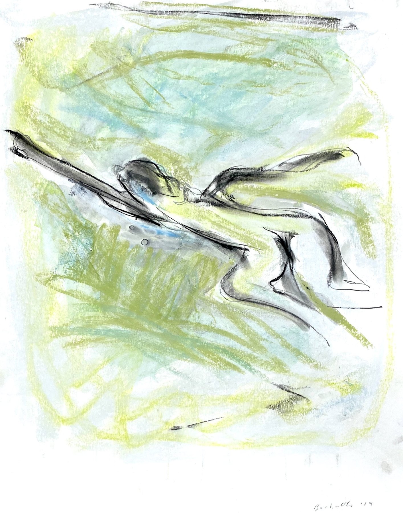 shadow swimmer