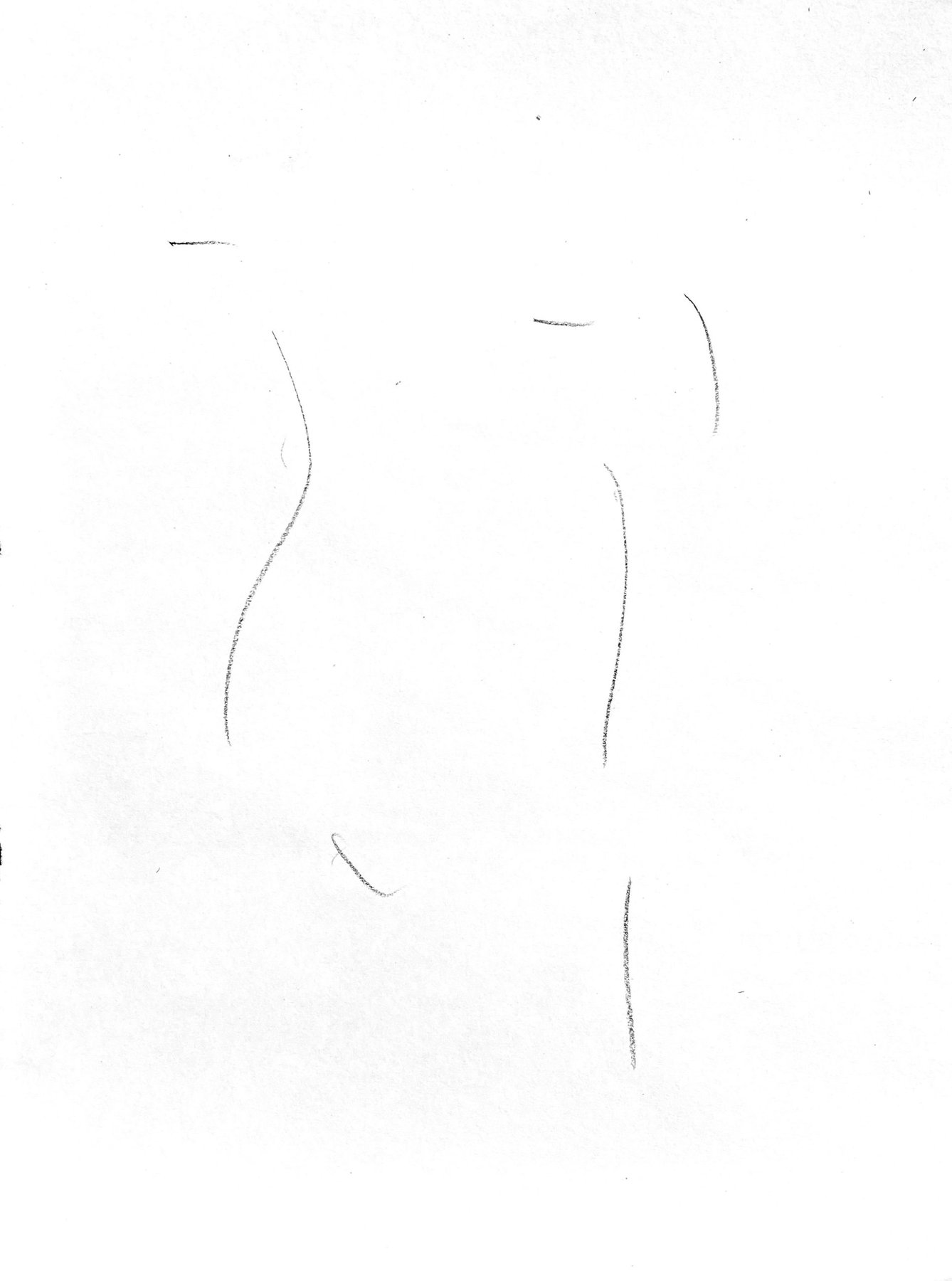 torso 5