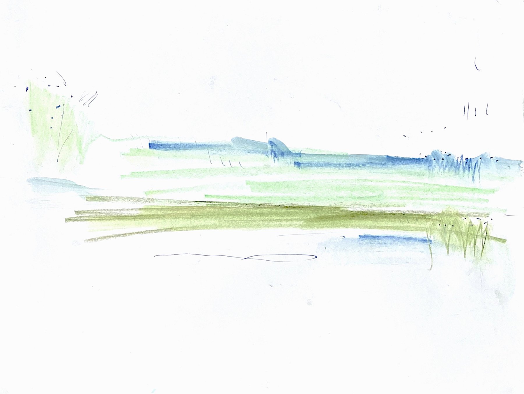 wetland