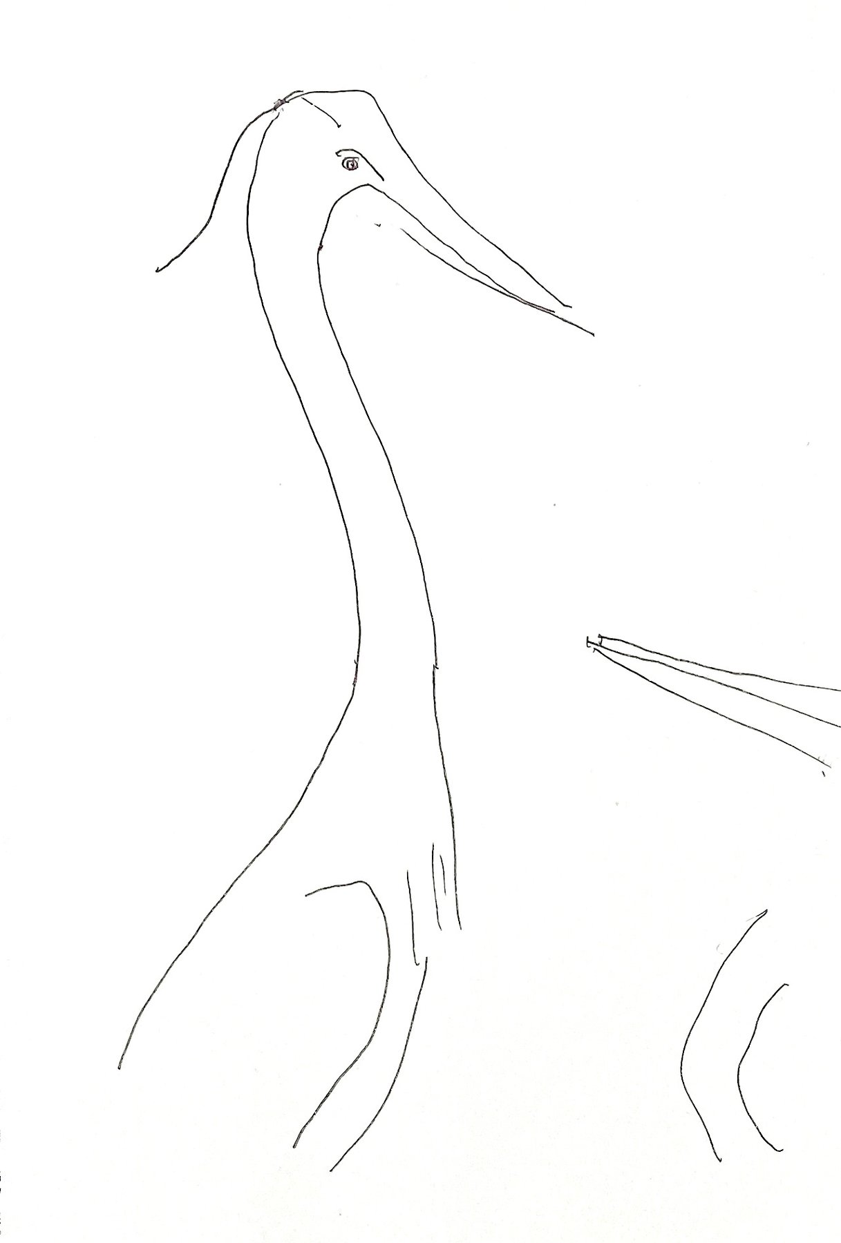 white birds 2