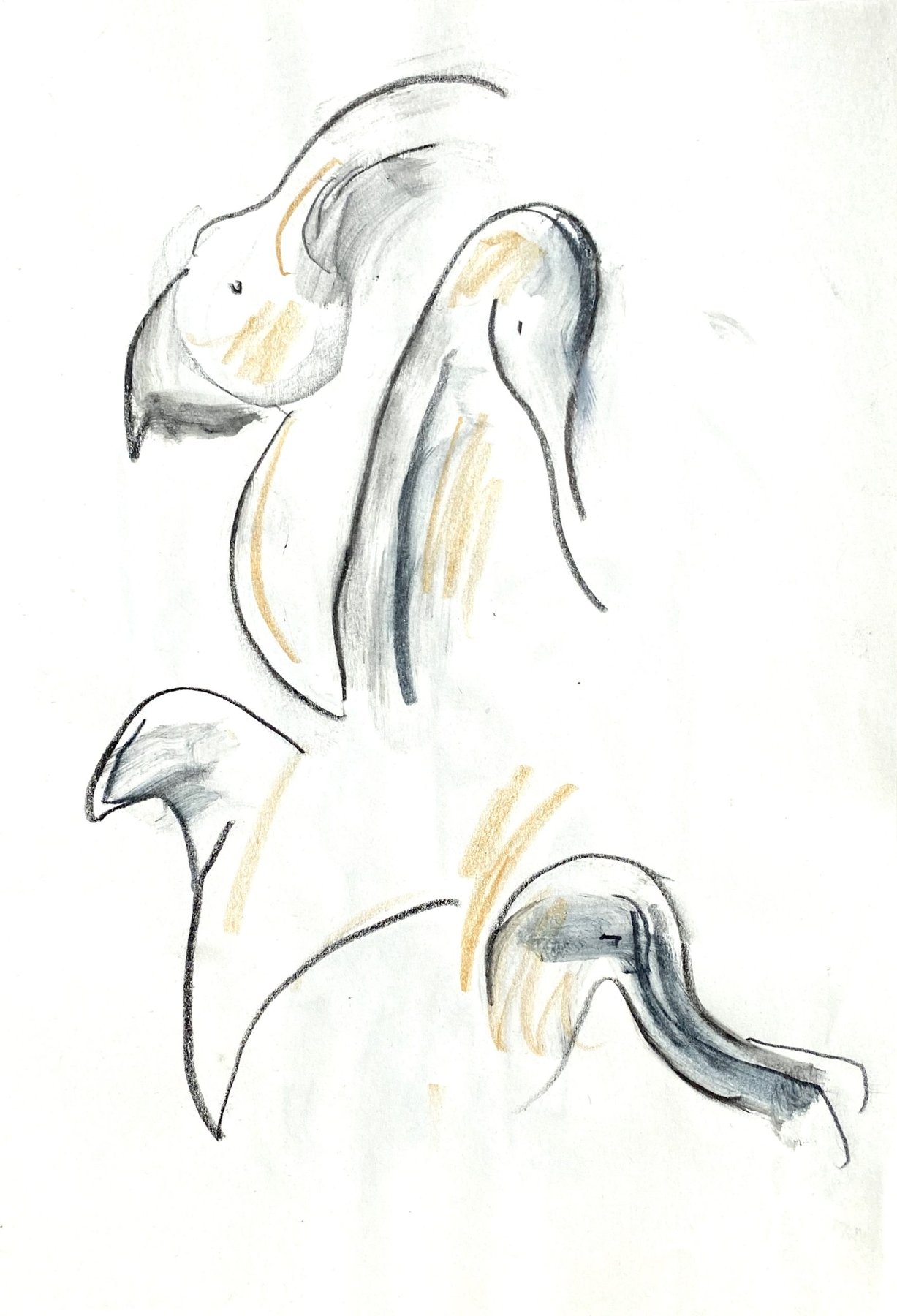 yellow birds