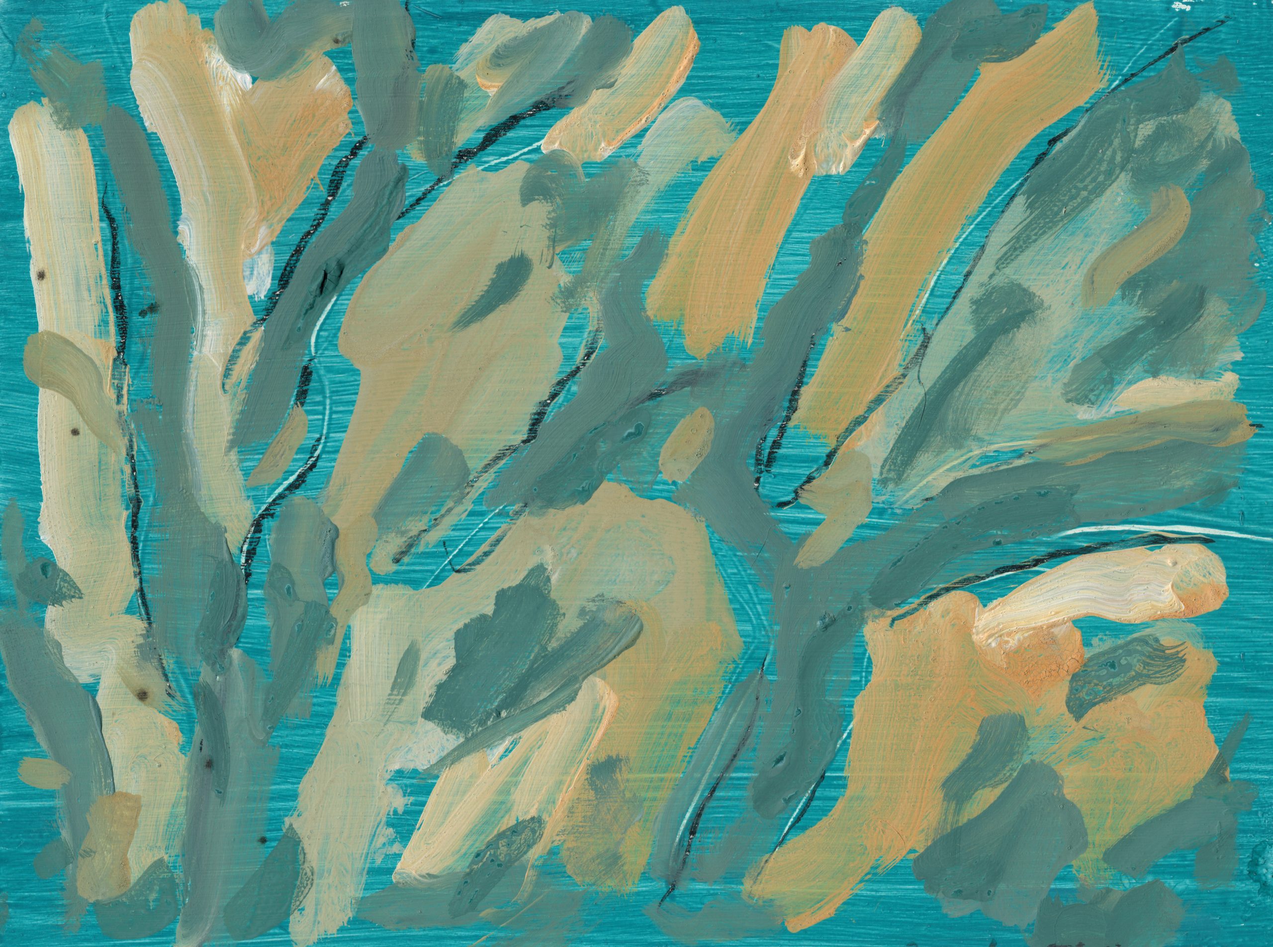flora 1