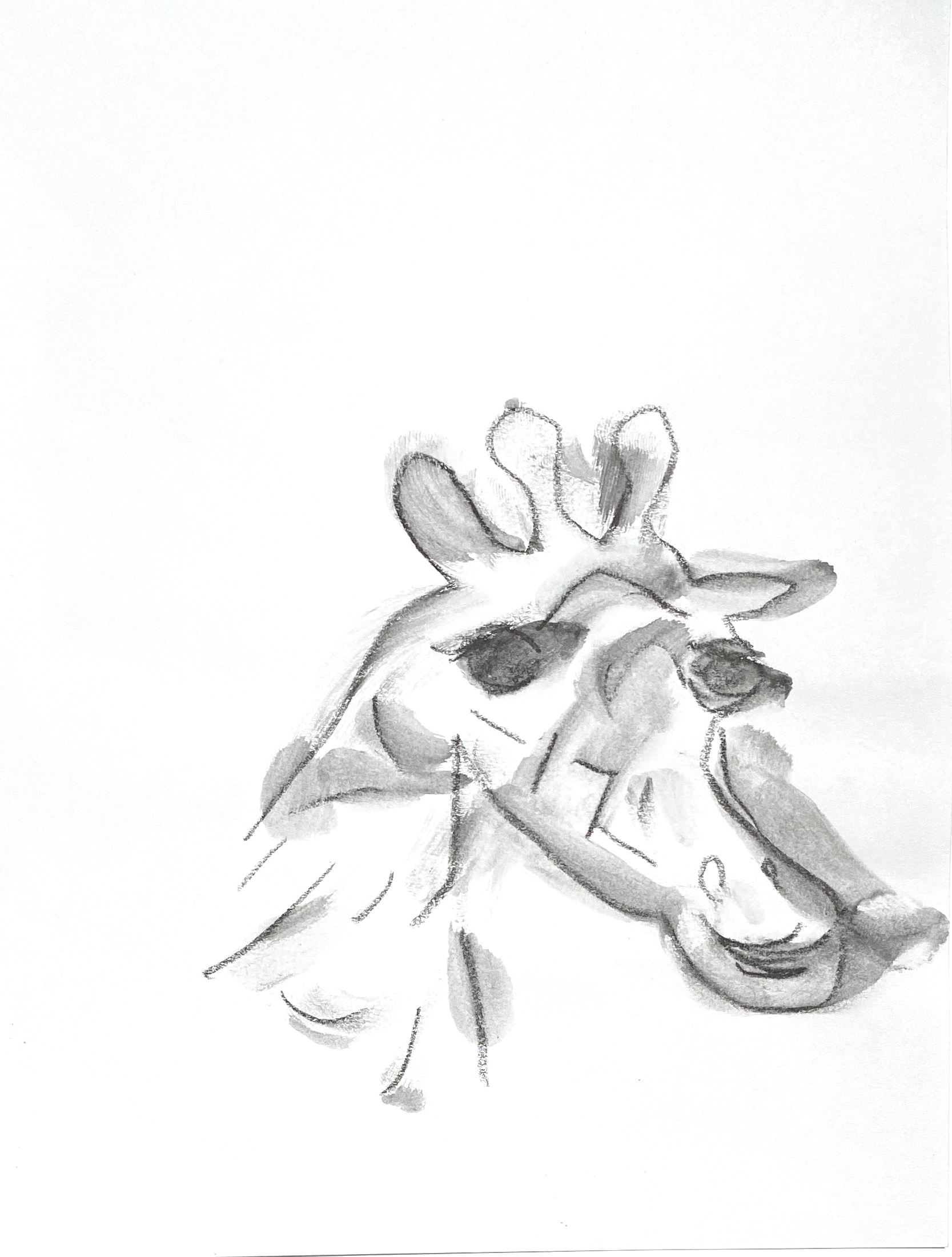 giraffe 2