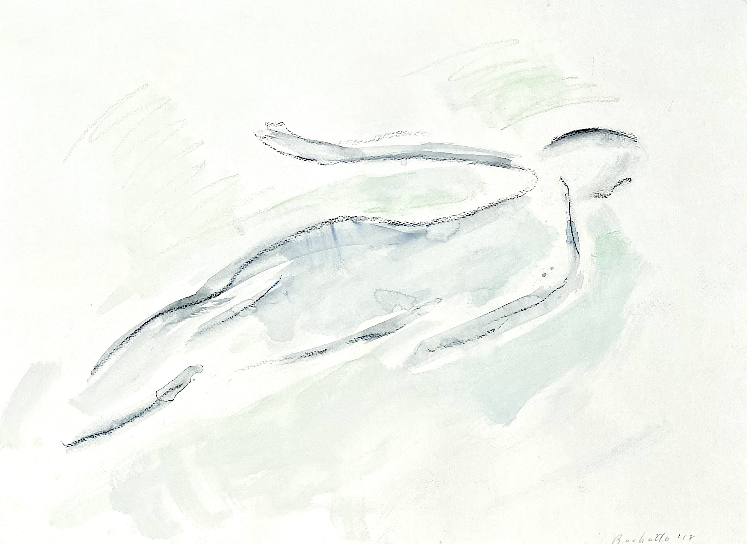 gray swimmer
