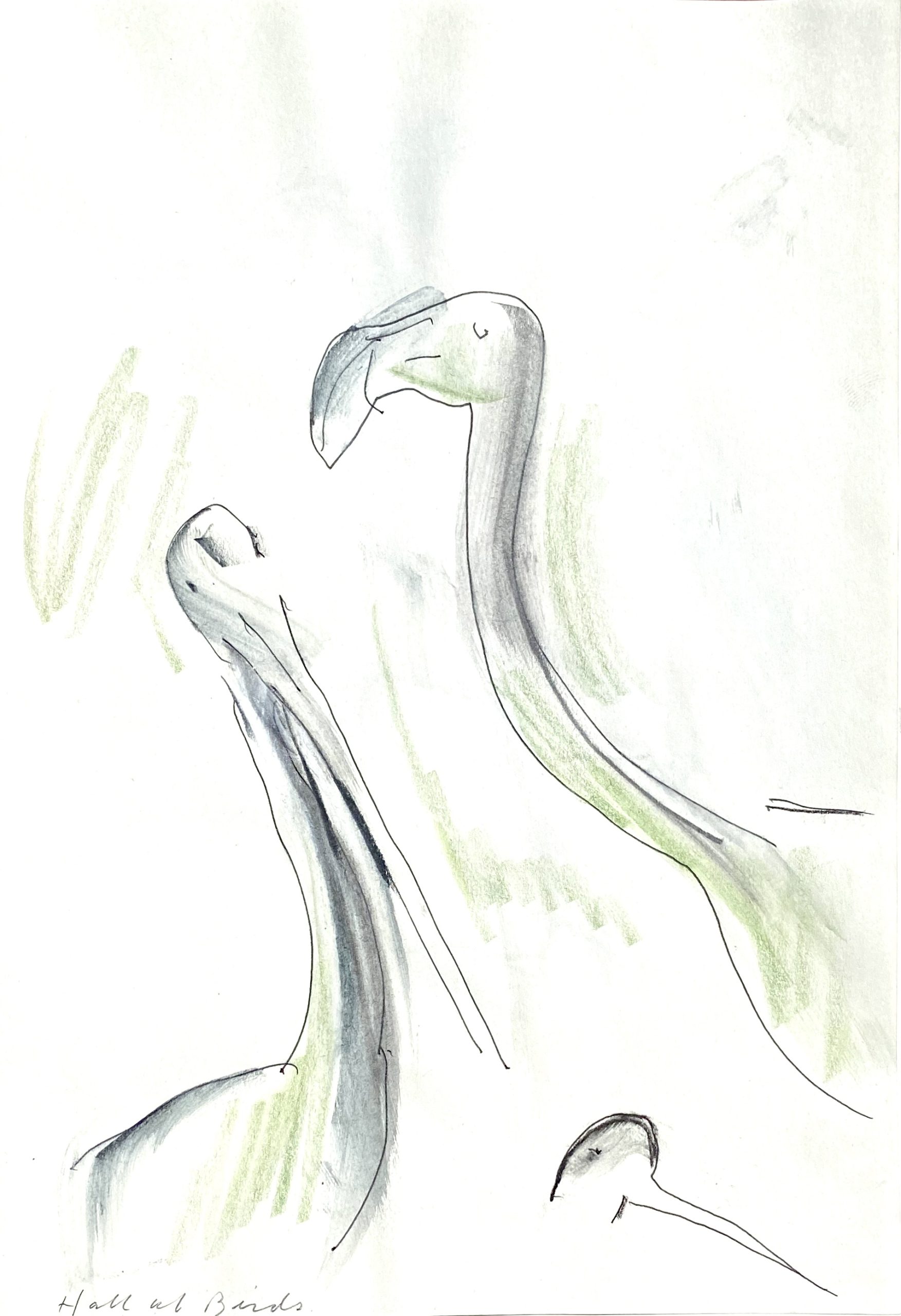 green birds