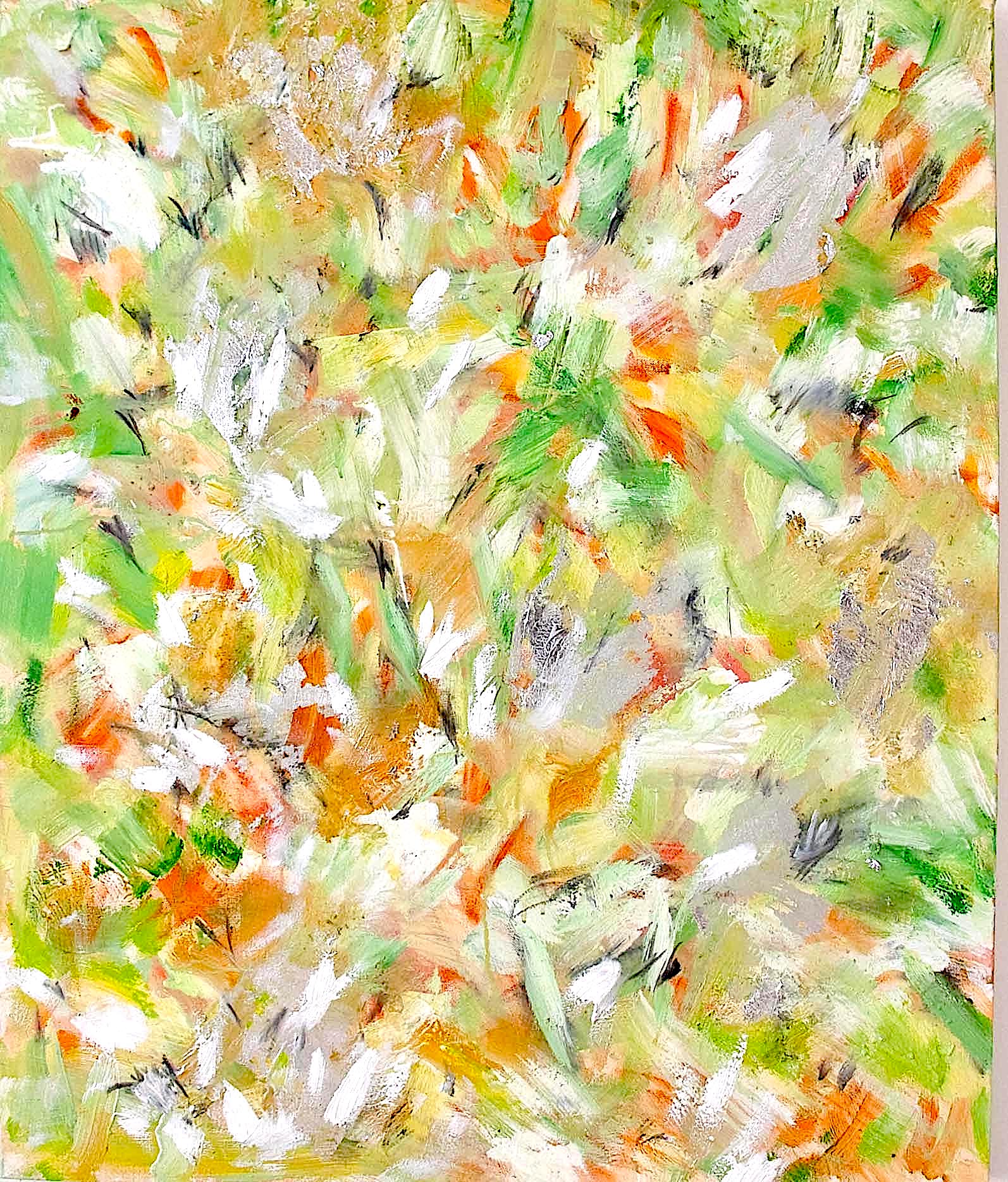 plexus 6