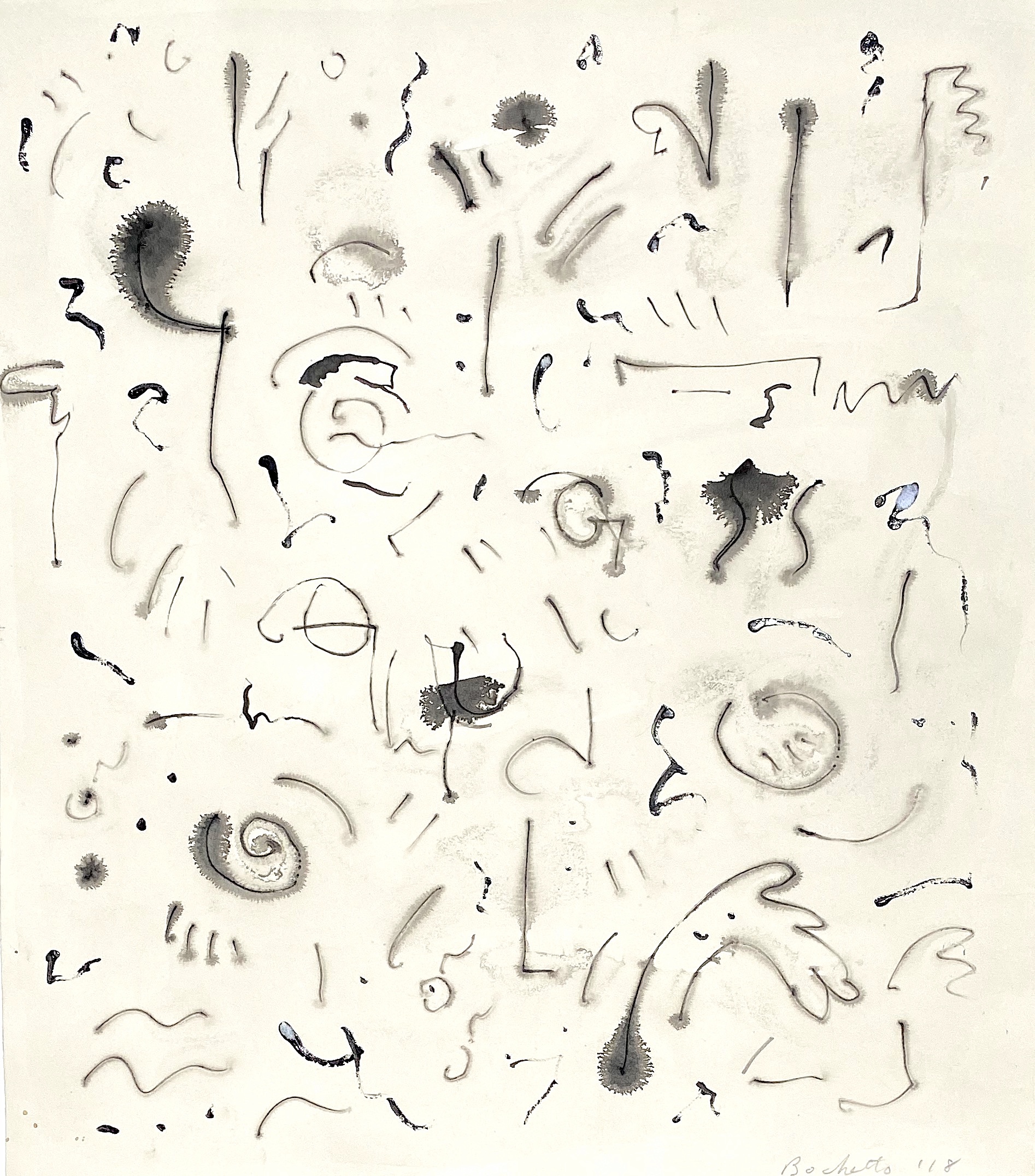 shadow garden