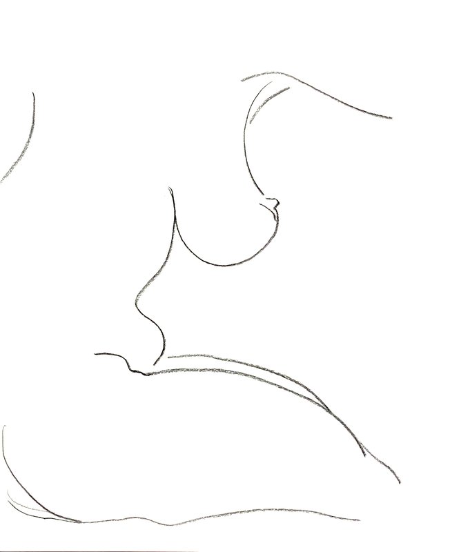 torso 3
