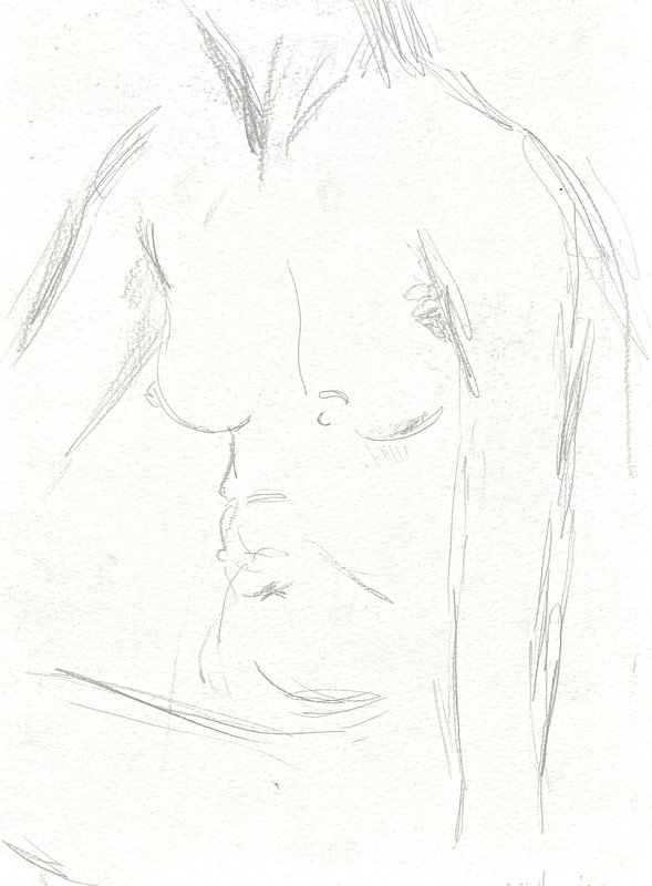 torso 1