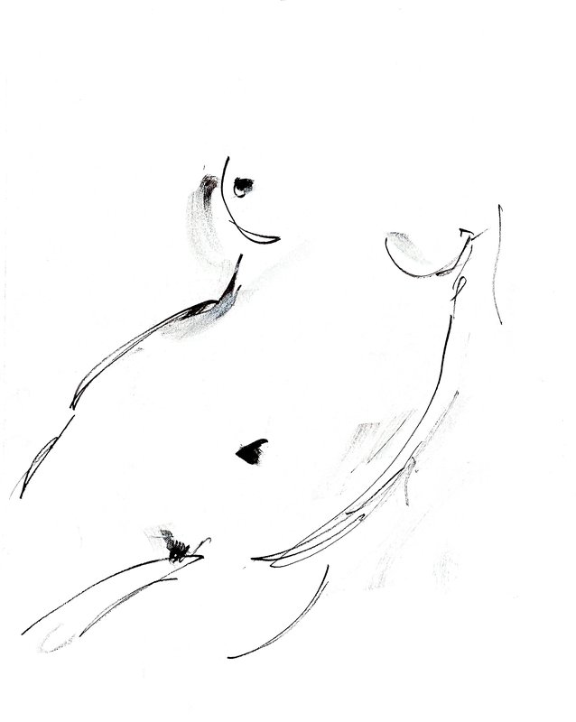 torso 4
