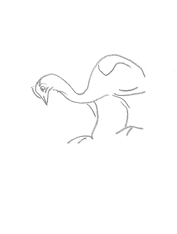 bird 2