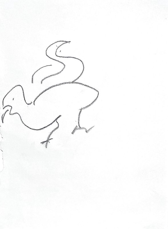 bird 3