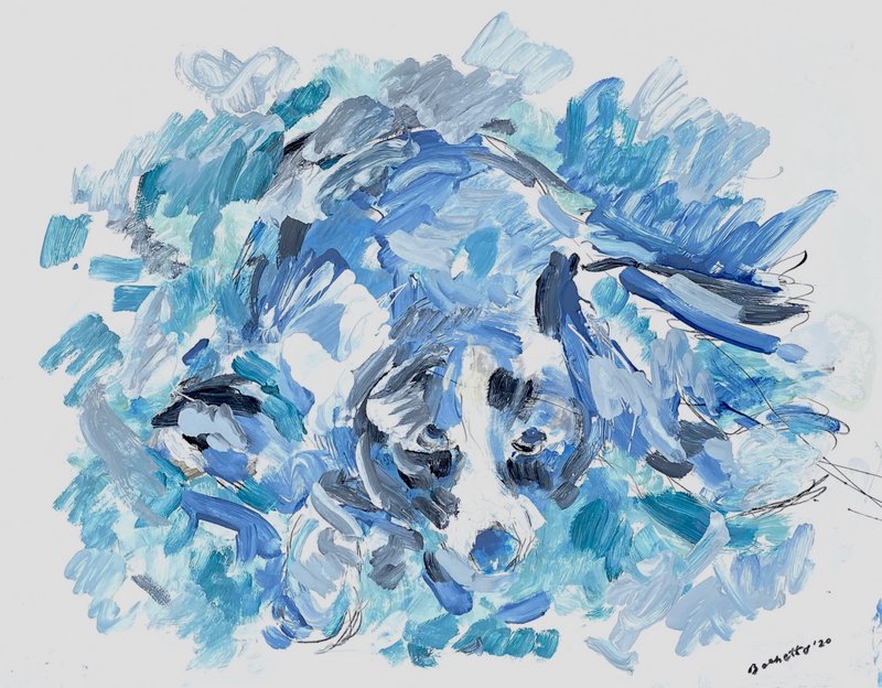 blue dog