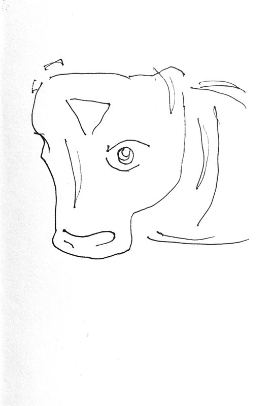 ancient bull