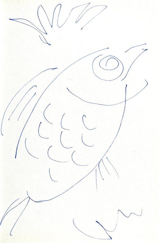 fish
