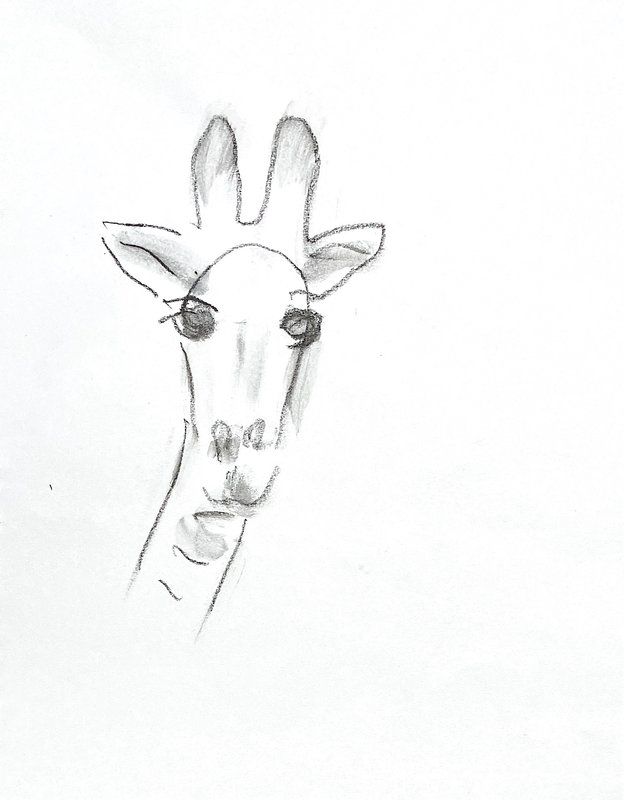 giraffe 1
