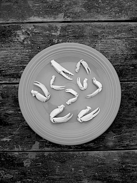 gray plate