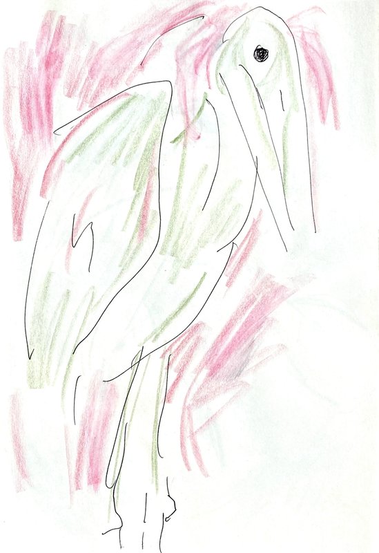 green and pink bird