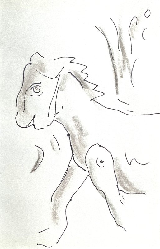 jointed horse