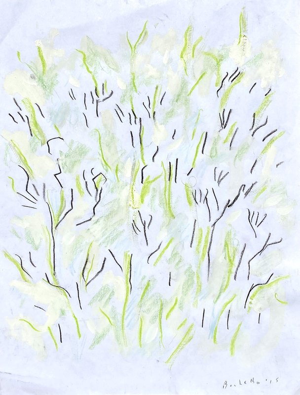 joshua tree 1
