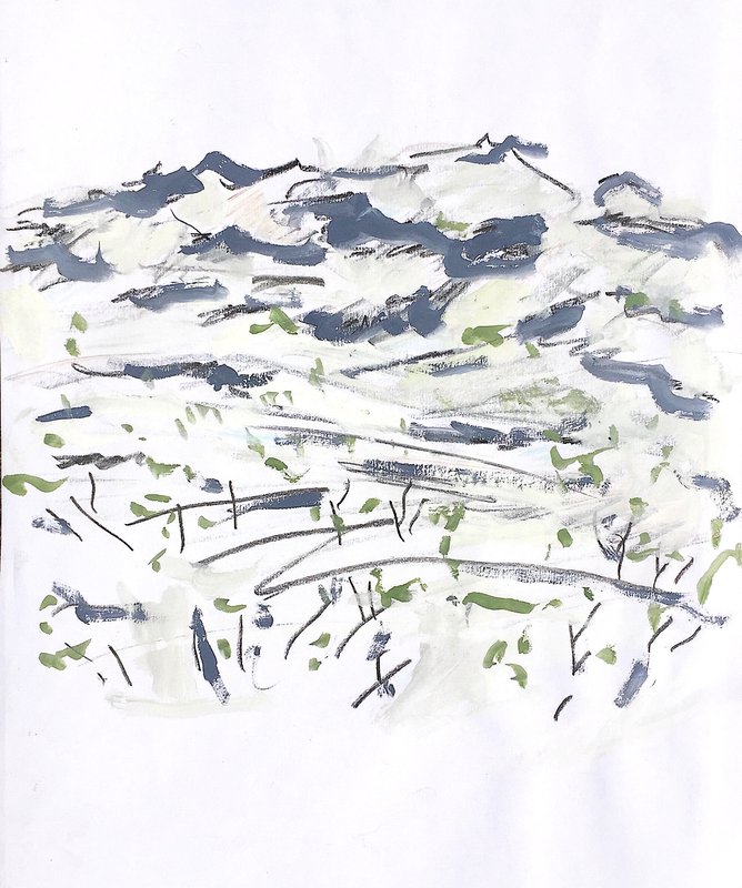 joshua tree 1