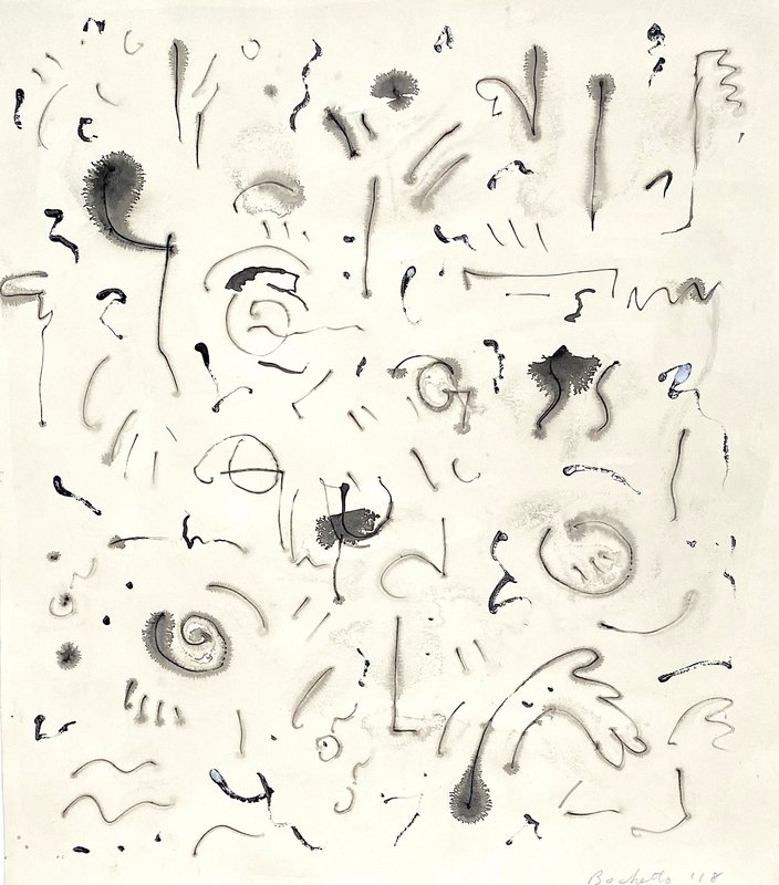 shadow garden shown on a wall