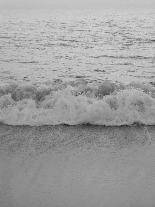 shore 2