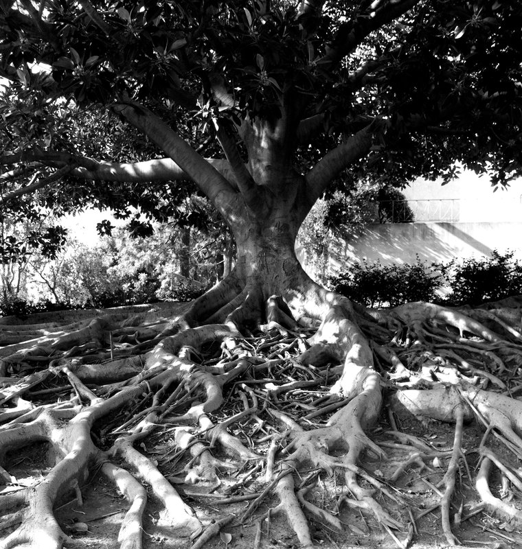 tangle 3