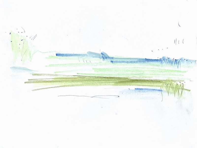 wetland