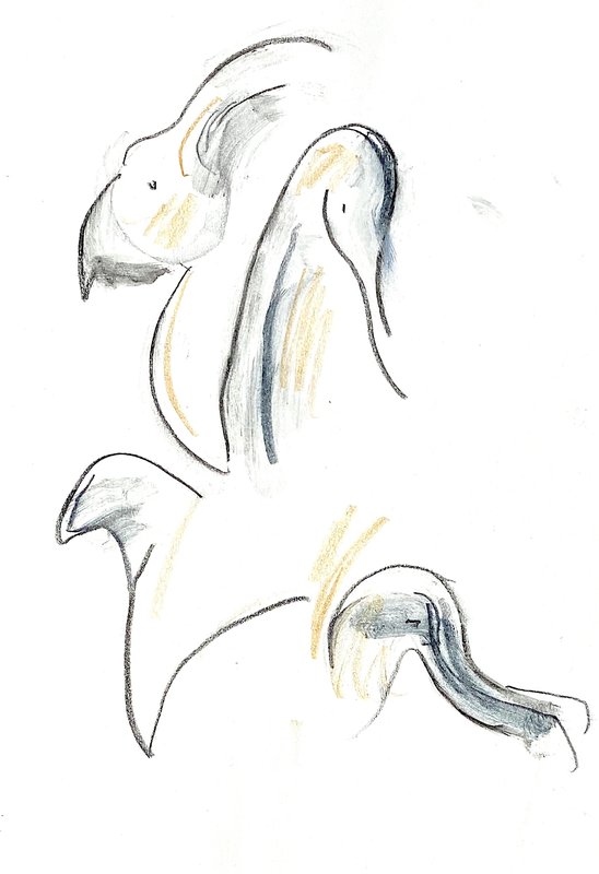 yellow birds