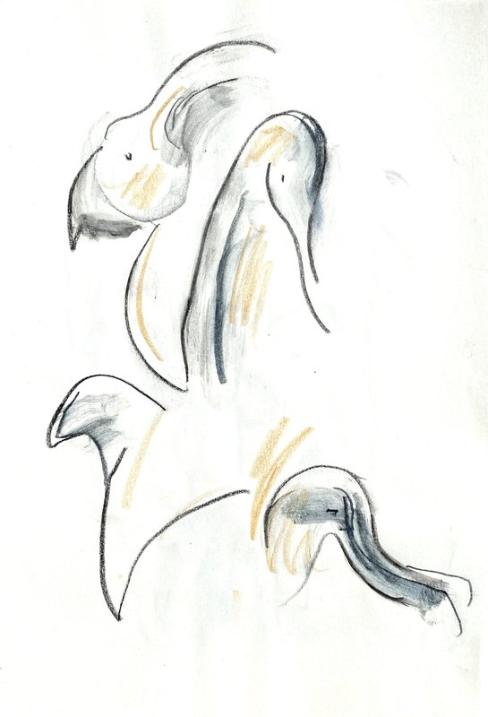 yellow birds