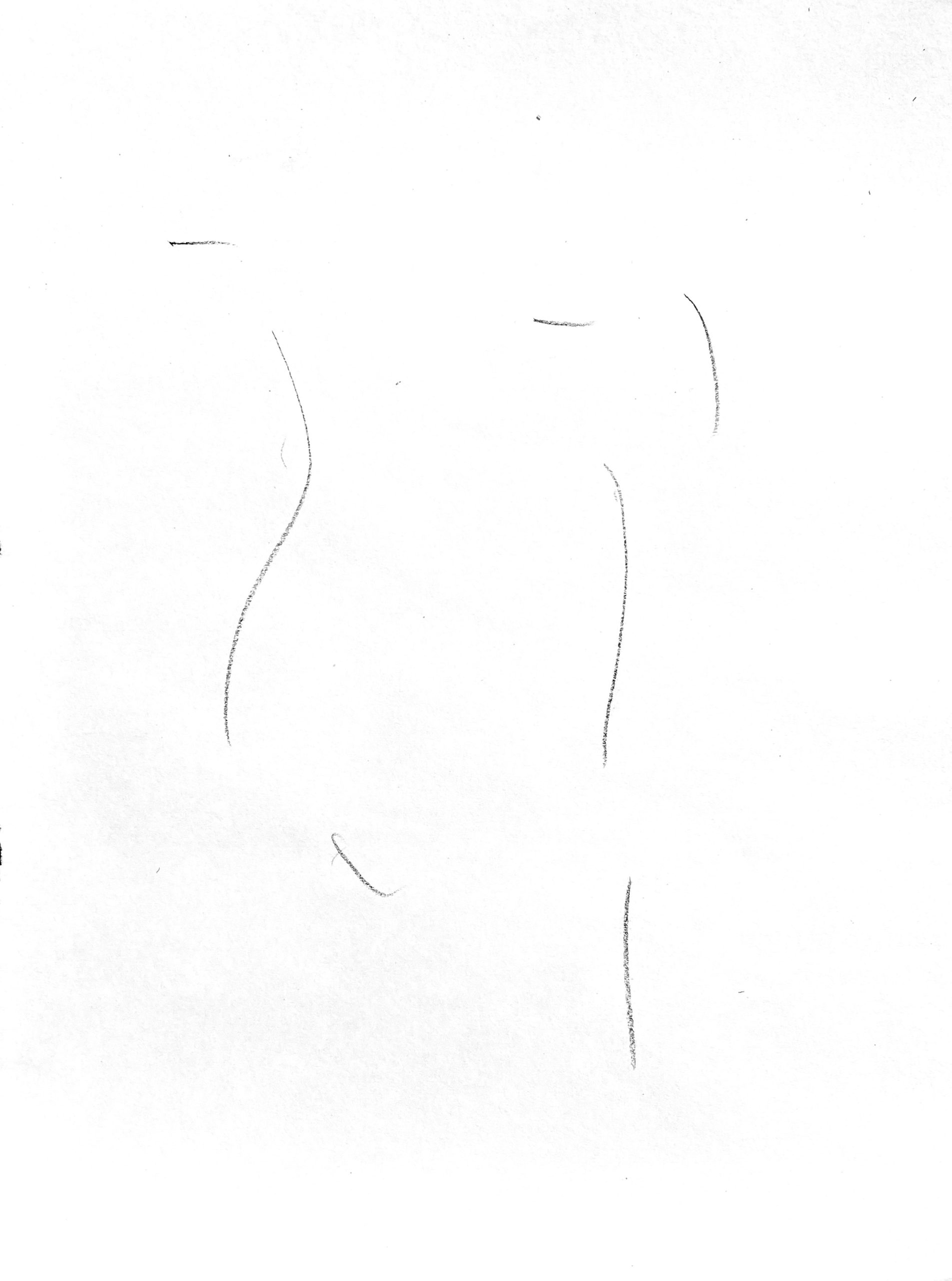 torso 5
