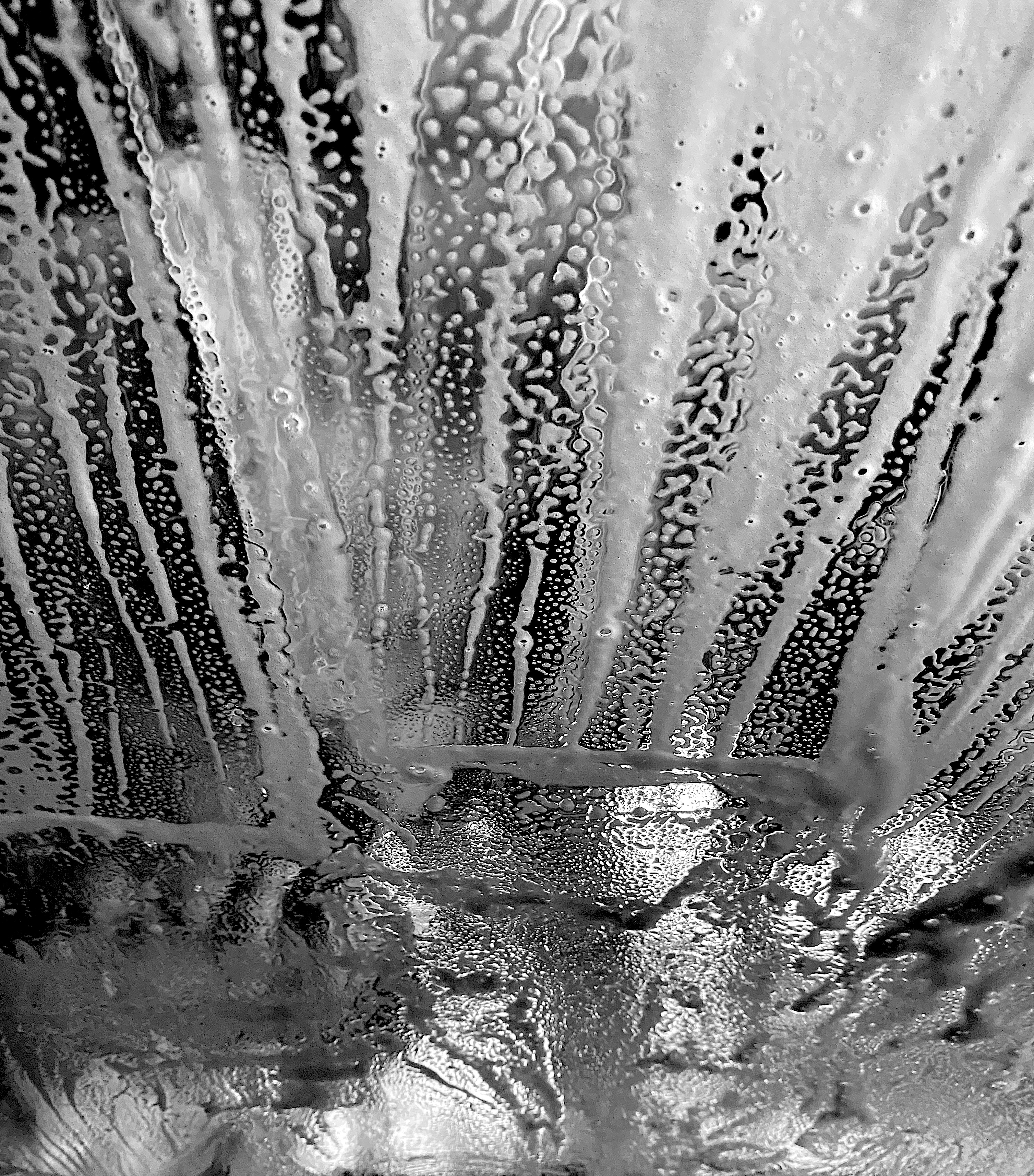 wash 4